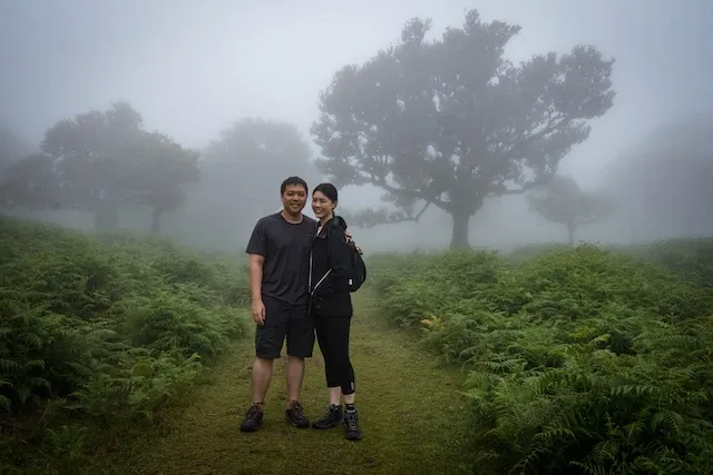 Fanal fog through the laurel trees