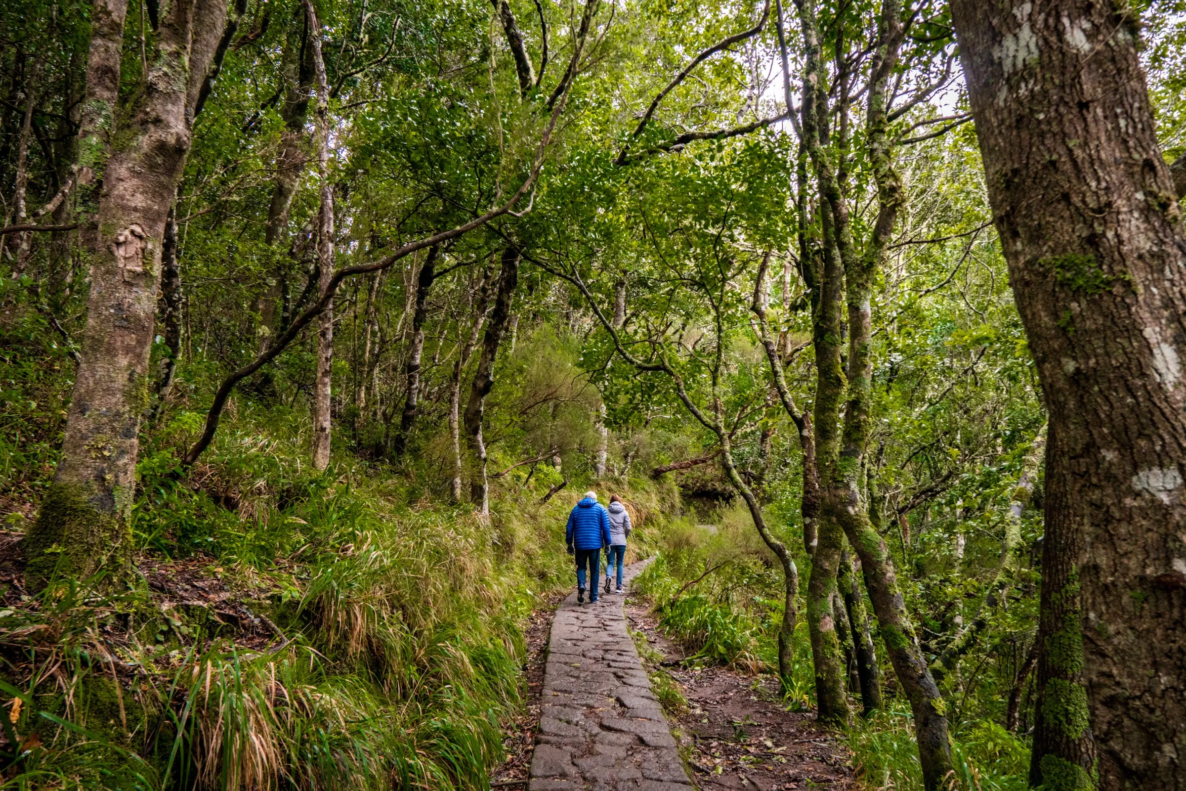 Boots on a levada path, guide ahead